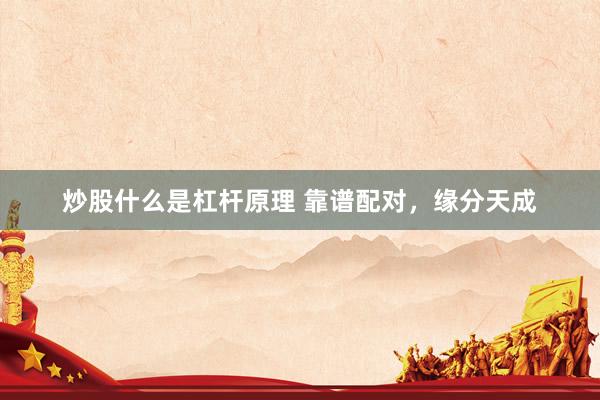炒股什么是杠杆原理 靠谱配对，<a href=