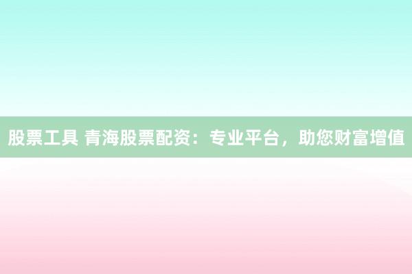 股票工具 青海股票配资：专业平台，助您财富增值