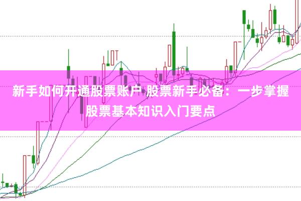 新手如何开通股票账户 股票新手必备：一步掌握股票基本知识入门要点