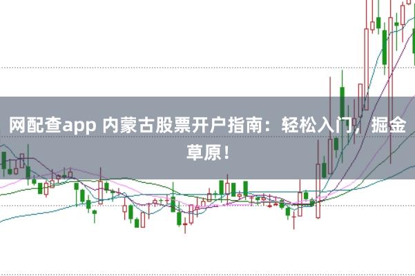 网配查app 内蒙古股票开户指南：轻松入门，掘金草原！