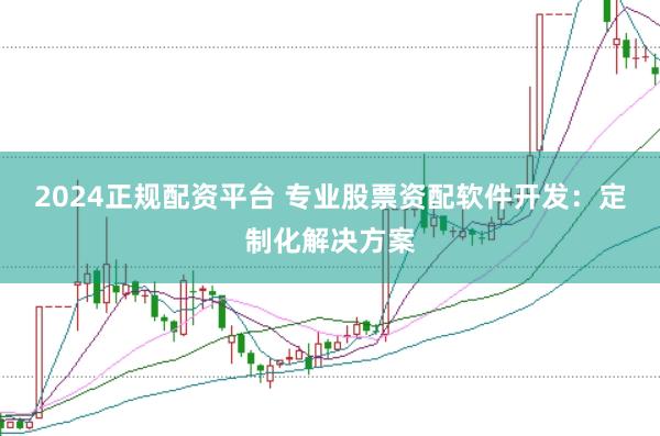 2024正规配资平台 专业股票资配软件开发：定制化解决方案