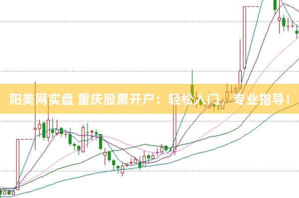 阳美网实盘 重庆股票开户：轻松入门，专业指导！