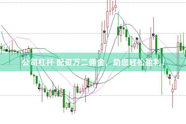 公司杠杆 配资万二佣金，助您轻松盈利！
