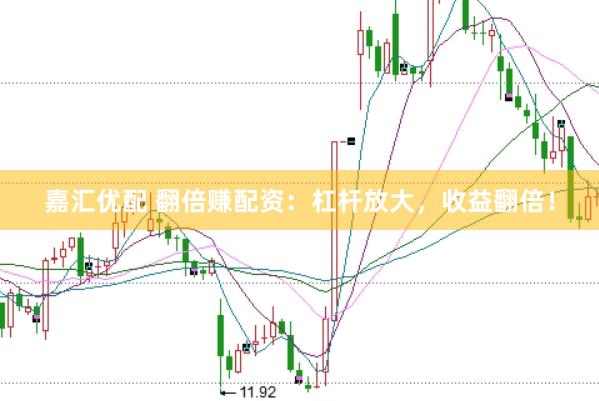 嘉汇优配 翻倍赚配资：杠杆放大，收益翻倍！