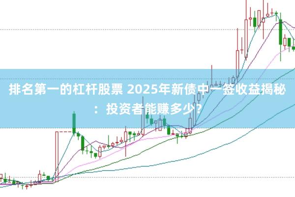 排名第一的杠杆股票 2025年新债中一签收益揭秘：投资者能赚多少？