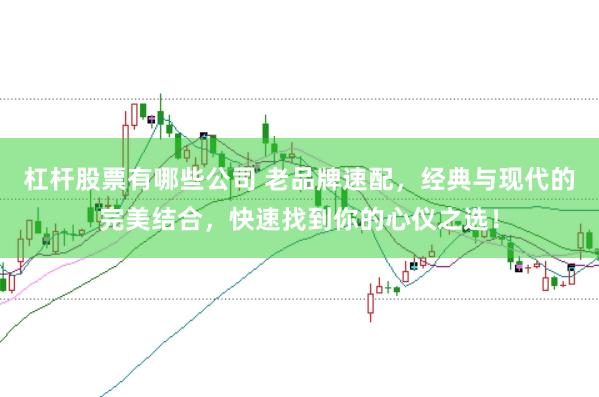 杠杆股票有哪些公司 老品牌速配，经典与现代的完美结合，快速找到你的心仪之选！