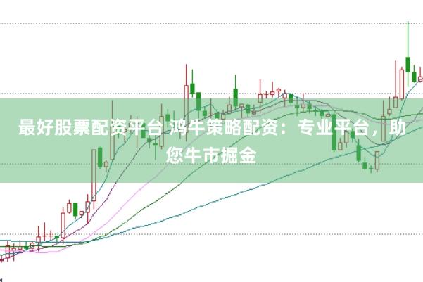 最好股票配资平台 鸿牛策略配资：专业平台，助您牛市掘金