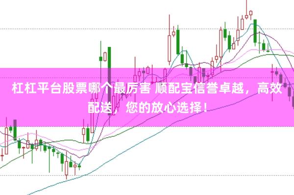 杠杠平台股票哪个最厉害 顺配宝信誉卓越，高效配送，您的放心选择！
