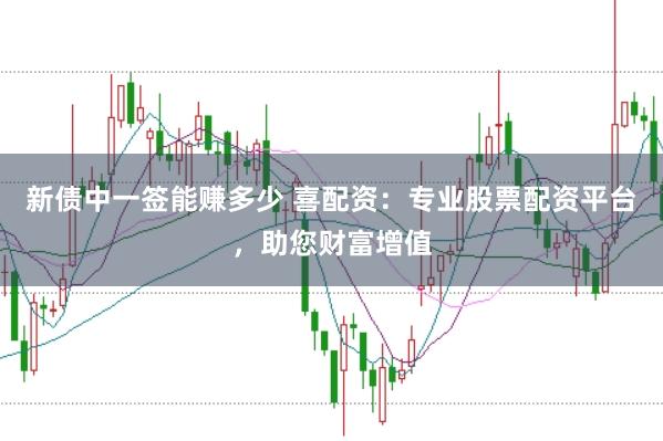 新债中一签能赚多少 喜配资:专业股票配资平台,助您财富增值
