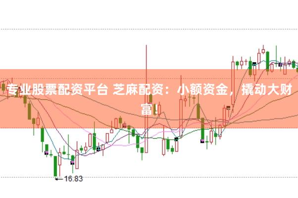 专业股票配资平台 芝麻配资:小额资金,撬动大财富!
