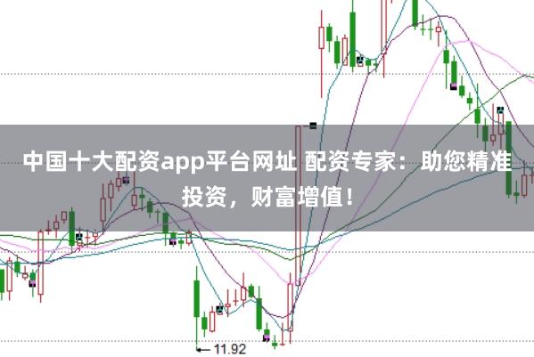 中国十大配资app平台网址 配资专家:助您精准投资,财富增值!