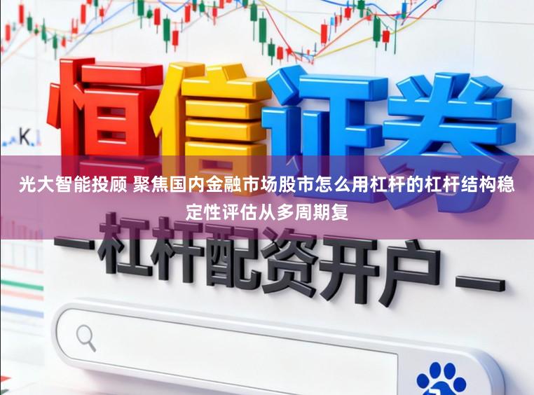 光大智能投顾 聚焦国内金融市场股市怎么用杠杆的杠杆结构稳定性评估从多周期复